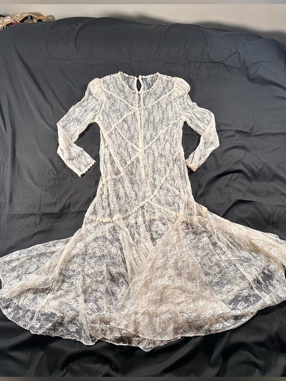 Daisy Cottagecore Sheer Long Sleeve Boho Long Dress Whistle Fairy OSFM Coquette